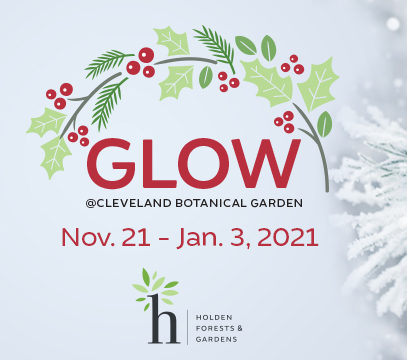 cbg-facebook-cover-glow2020-2